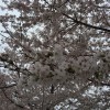 生徒さんの活躍一覧